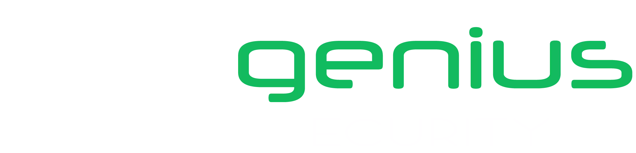 Expert en Cybersécurité et Maintenance informatique - Spécialiste Réseaux et Protection des données.